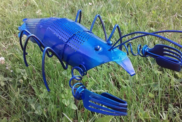 Candy Blue Lobster